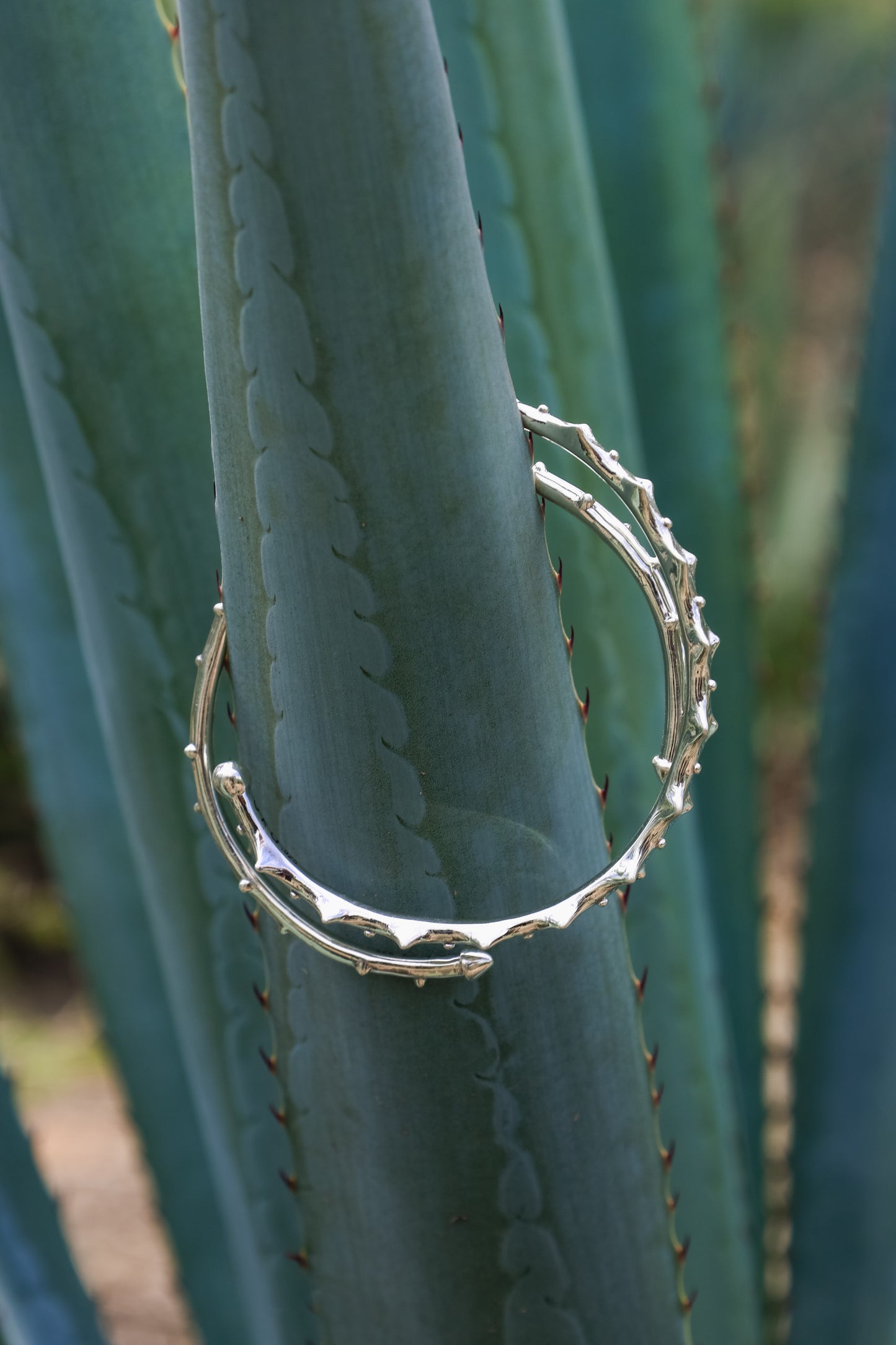 Brazalete Cardo