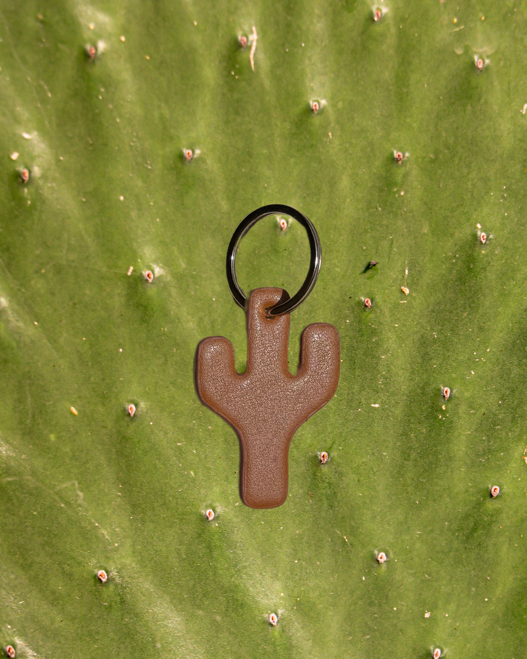 Cactus keychain