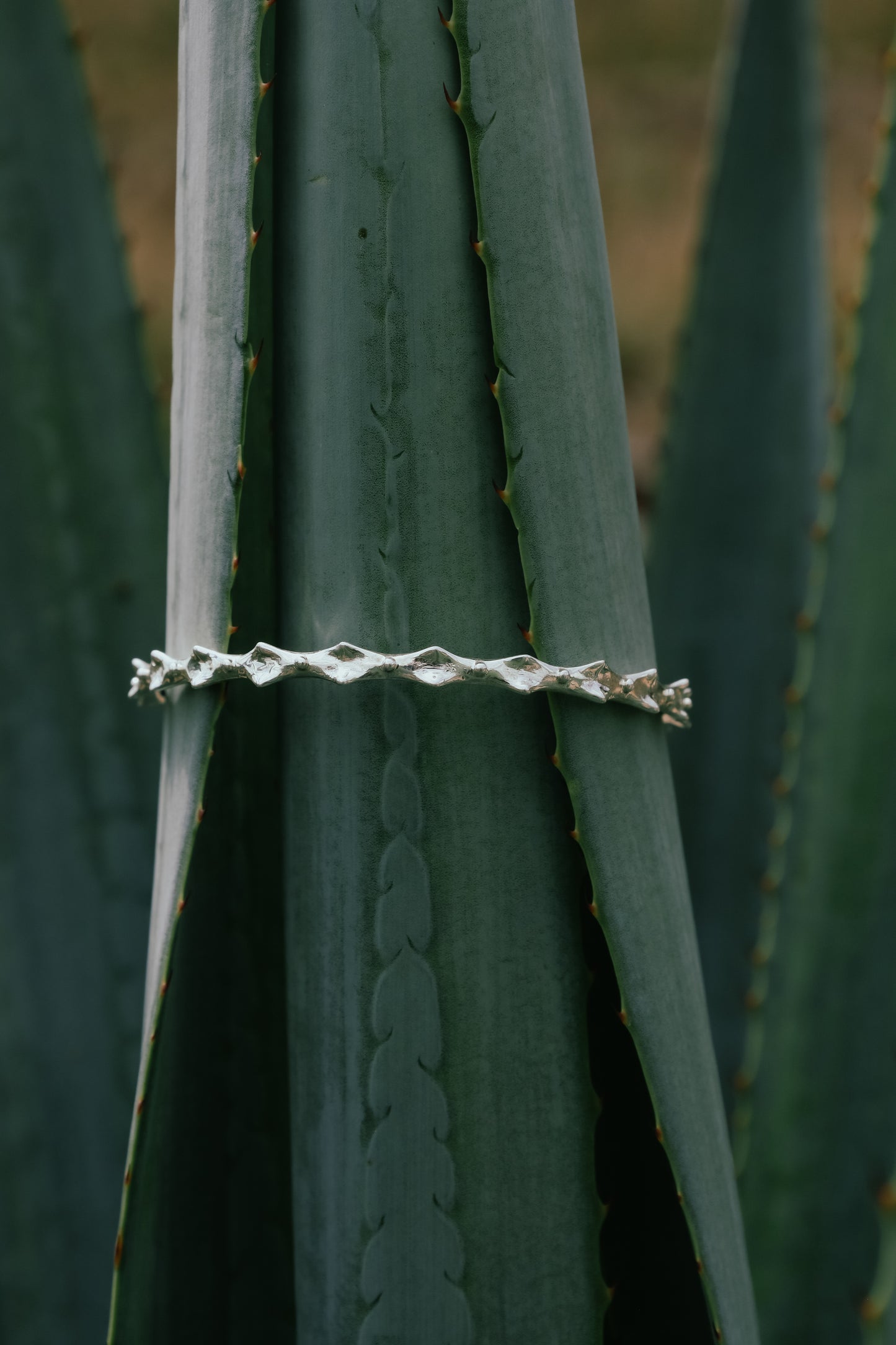 Brazalete Espina