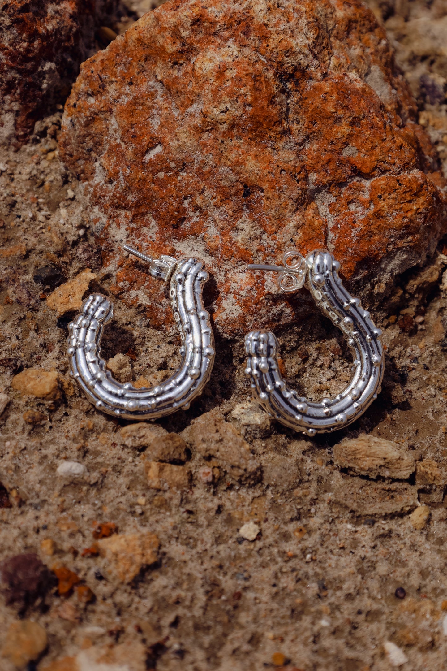 Arete Cactus